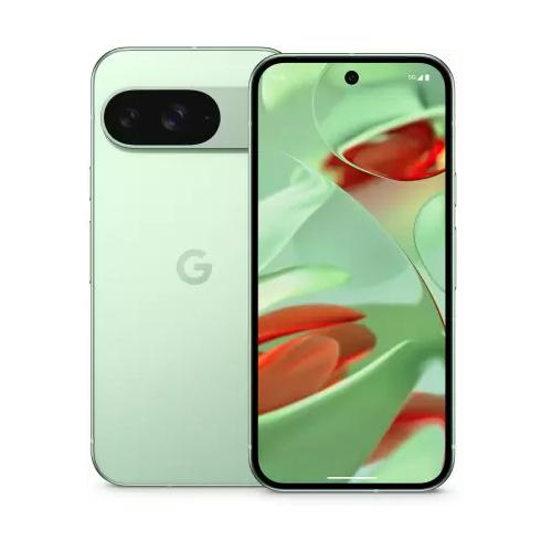 Google Pixel 9 5G Dual Sim 12GB RAM 256GB Wintergreen