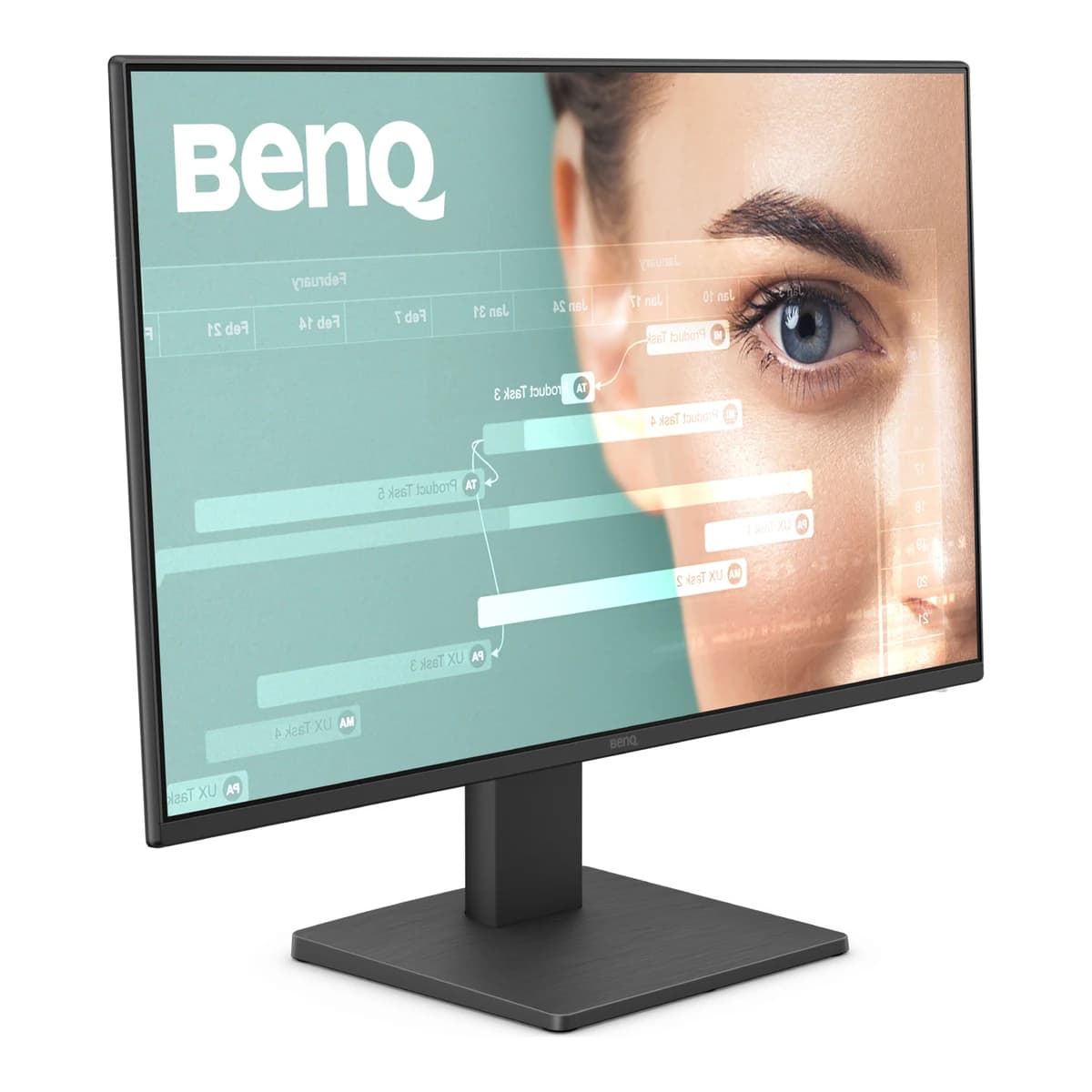 BenQ GW2491