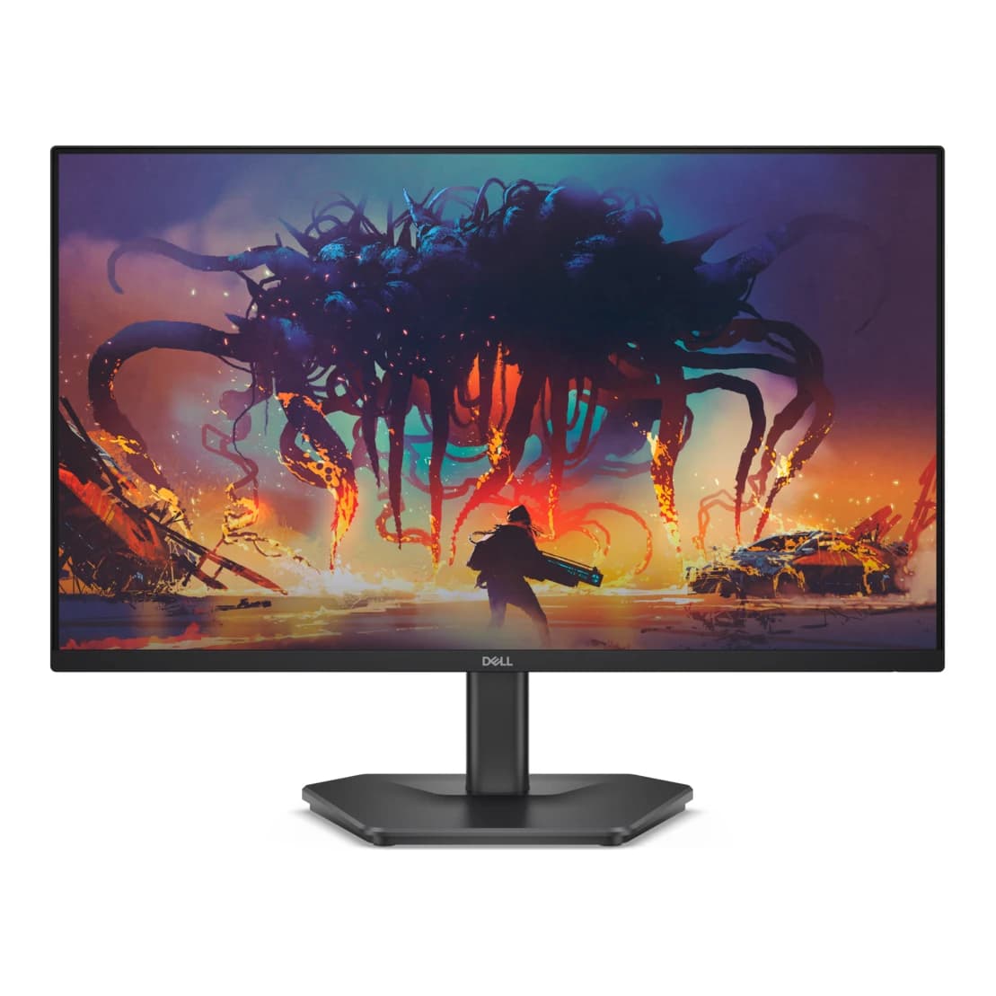 Dell SE2425HG