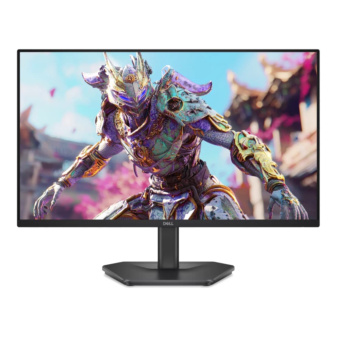 Dell SE2426HG