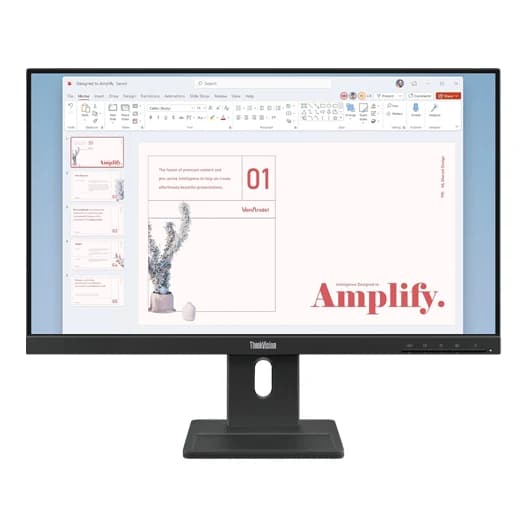 Lenovo ThinkVision E24-40